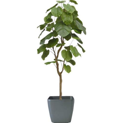 鉢カバー エディラウンド 8号鉢用 黒 #ミュールミル TL012-1LBk | 鉢