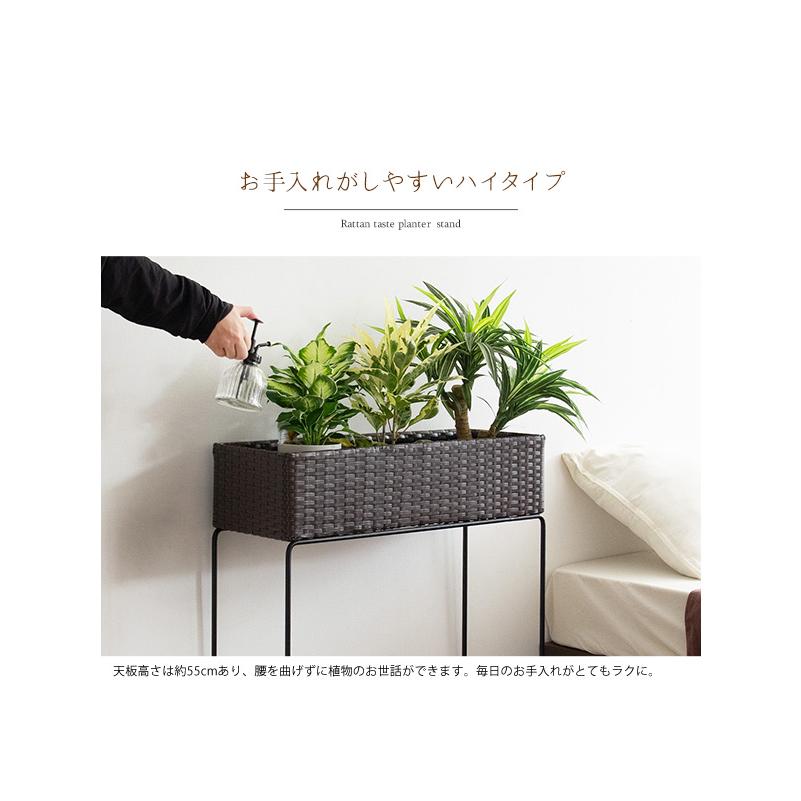 プランタースタンド プランター台 プラントｂｏｘ 観葉植物入れ ラタン 植木鉢スタンド おしゃれ 小物収納 サイドテーブル ハイスタンド 幅60ｃｍ Mips 600 Arrows Furniture 通販 Yahoo ショッピング