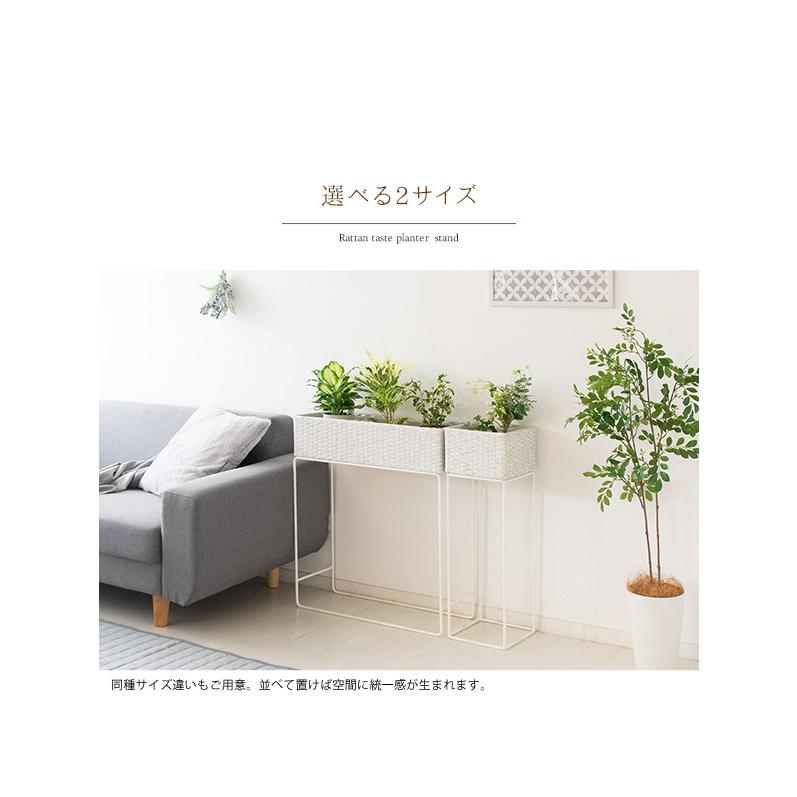 プランタースタンド プランター台 プラントｂｏｘ 観葉植物入れ ラタン 植木鉢スタンド おしゃれ 小物収納 サイドテーブル ハイスタンド 幅60ｃｍ Mips 600 Arrows Furniture 通販 Yahoo ショッピング