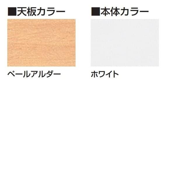 生興 NSカウンター インフォメーションタイプ W1200×D700×H950 NSL-12TINPW （天板ペールアルダー/本体ホワイト）_1