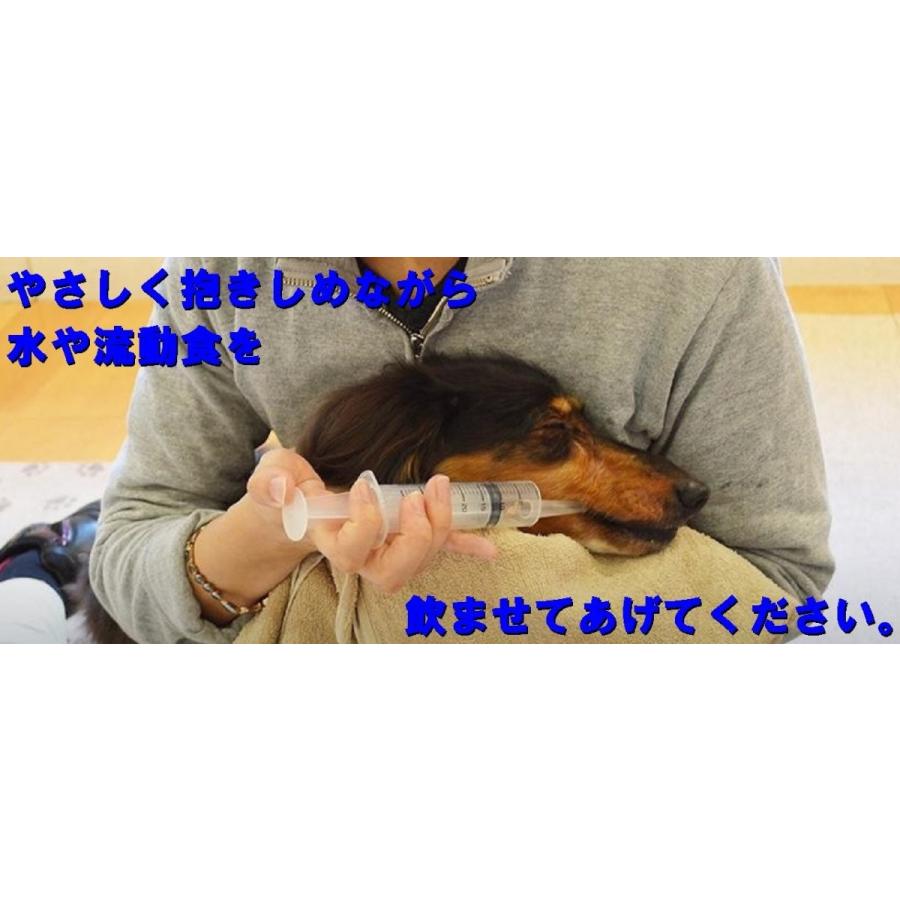 【miyabi】老犬・老猫用 給水シリンジ Lサイズ 犬猫兼用 水分補給・流動食用（ブルー）｜office-miyabi｜04