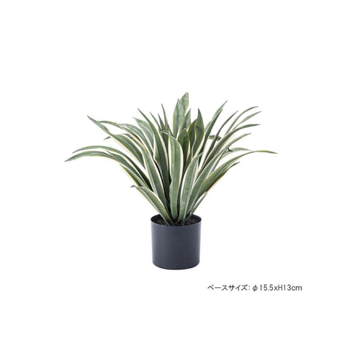 フェイクグリーン 人工観葉植物 アガベ 約W63×D63×H50 造花TMZGRN
