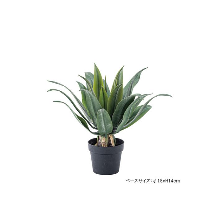フェイクグリーン 人工観葉植物 アガベ 約W53×D53×H53 造花TMZGRN-14TMZ AF-043181N_10