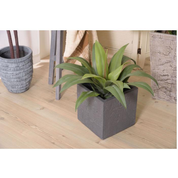 フェイクグリーン 人工観葉植物 アガベ 約W53×D53×H53 造花TMZGRN-14TMZ AF-043181N_12