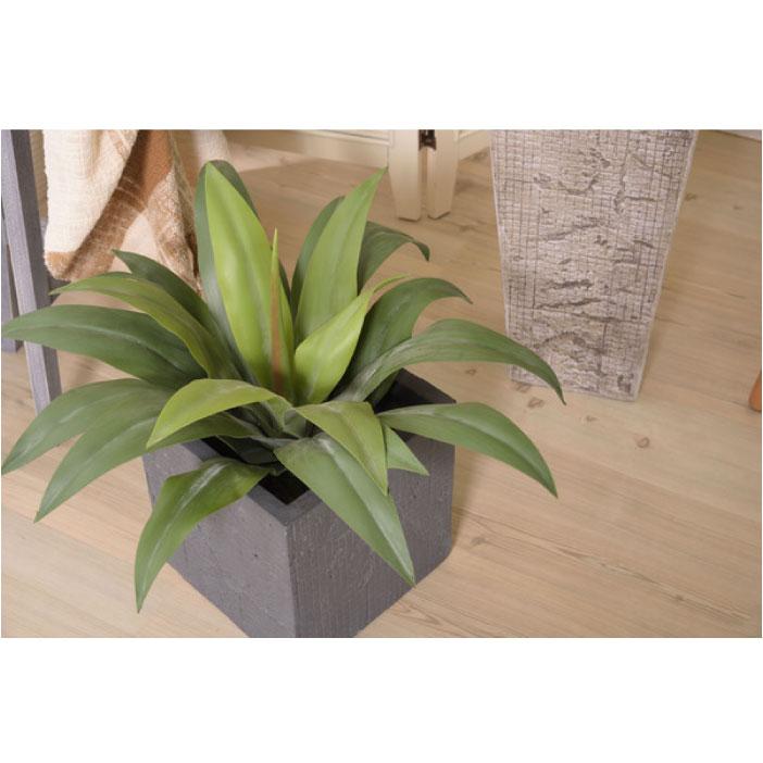 フェイクグリーン 人工観葉植物 アガベ 約W53×D53×H53 造花TMZGRN-14TMZ AF-043181N_13