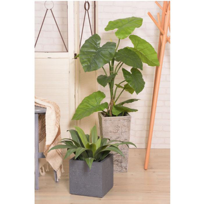 フェイクグリーン 人工観葉植物 アガベ 約W53×D53×H53 造花TMZGRN-14TMZ AF-043181N_14