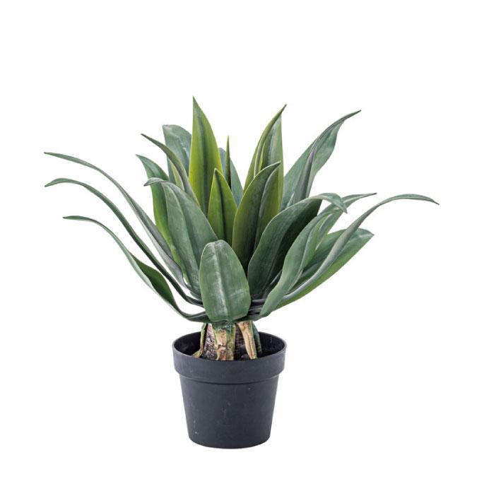フェイクグリーン 人工観葉植物 アガベ 約W53×D53×H53 造花TMZGRN-14TMZ AF-043181N_1