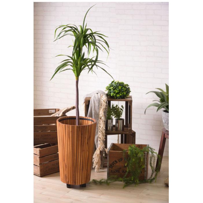 フェイクグリーン 人工観葉植物 アガベ 約W53×D53×H53 造花TMZGRN-14TMZ AF-043181N_5