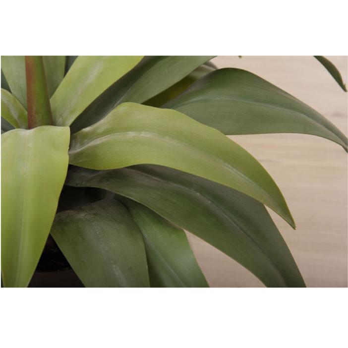 フェイクグリーン 人工観葉植物 アガベ 約W53×D53×H53 造花TMZGRN-14TMZ AF-043181N_6