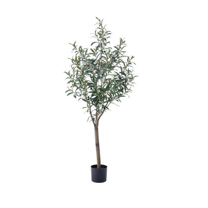 フェイクグリーン 人工観葉植物 オリーブ 約W44×D44×H152 造花TMZGRN-17TMZ AF-043184Nの画像