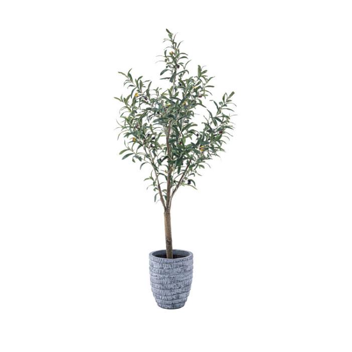 フェイクグリーン 人工観葉植物 オリーブ 約W44×D44×H152 造花TMZGRN-17TMZ AF-043184Nの画像
