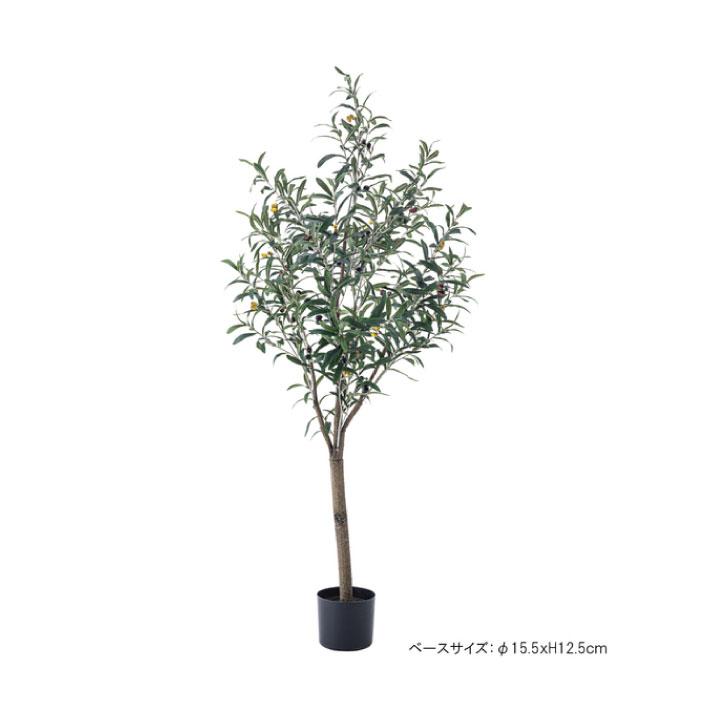 フェイクグリーン 人工観葉植物 オリーブ 約W44×D44×H152 造花TMZGRN-17TMZ AF-043184Nの画像