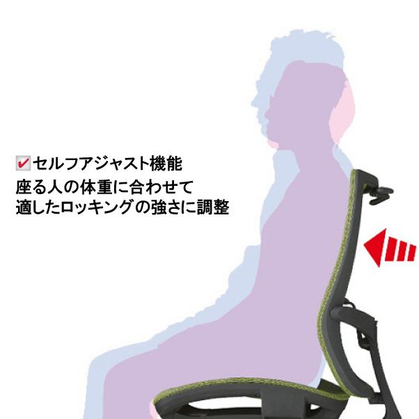 要組立 メッシュ ハンガー付 ランバーサポート付 ライオン事務機 オフィスチェア 肘無 【指定】 ブラック 中古