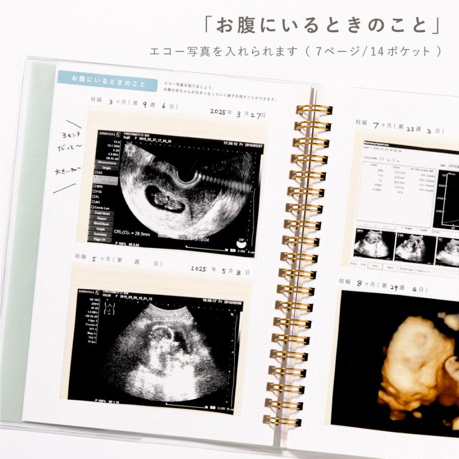 ポイント10倍！ふたりで書く育児日記 マタニティーアルバム GFD-01/02/03 かわいい エコー写真 超音波 赤ちゃん ベビーアルバム メール便送料無料 いろは出版 |  | 06
