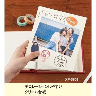 メール便対応 誰でも簡単！スクラップアルバム ALDECO mini XP-3808