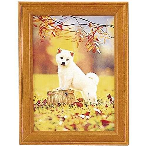 写真立て Mt-K2 ブラウン フジカラー : アルバムとママ雑貨の店