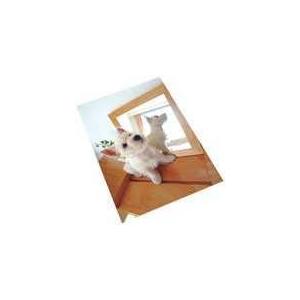 △超きれいな光沢紙 IT221GC A4 100枚 プラス : アルバムとママ雑貨の