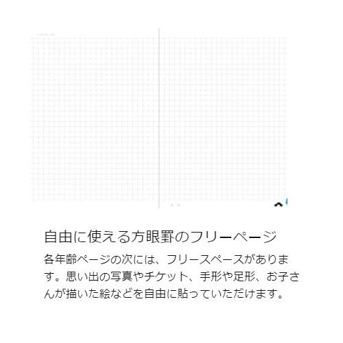 メール便送料無料 BIRTHDAY BOOK 20歳のあなたへ リス柄・白井匠 A5サイズ 雷鳥社 赤ちゃん 育児記録 ベビーダイアリー 20年間 育児日記 |  | 06