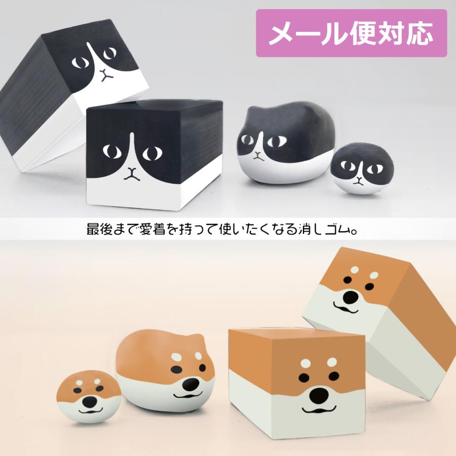 メール便対応 サンスター文具 ネコゴム ハチワレ・シバゴム S4219988