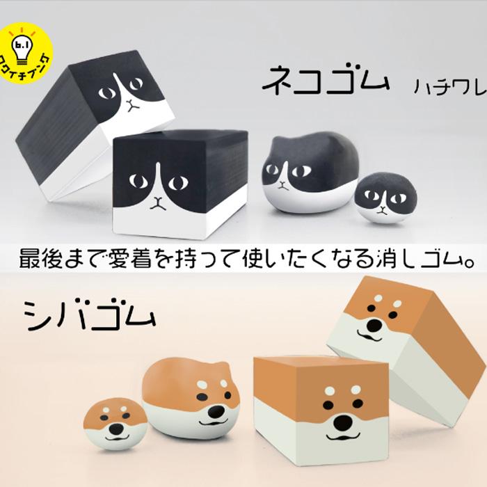メール便対応 サンスター文具 ネコゴム ハチワレ・シバゴム S4219988
