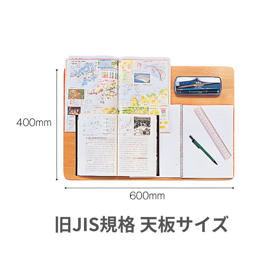 アイリスチトセ 学校机 旧JIS固定式 エコールN800-STG : モリタ
