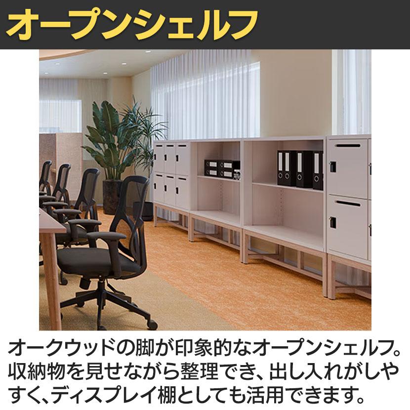 ASPLUND（アスプルンド） Work Plus FLEX-WIZ STORAGE オープン