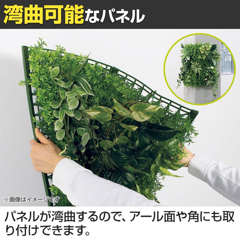 ベルク フェイクグリーン ウォールグリーン マグネットグリーン マットパネルタイプ50角 人工 造花 GR1250 幅560×奥行150×高さ560mmの画像
