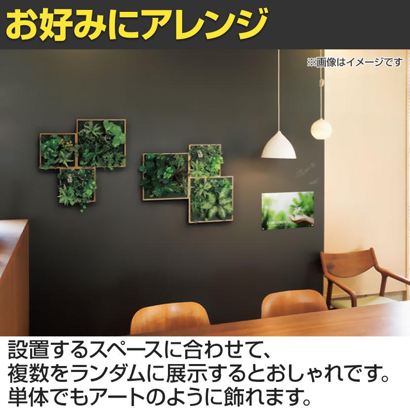 ベルク フェイクグリーン ウォールグリーン マグネットグリーン 木枠フレームタイプ 35角 人工 造花 GR1256 幅400×奥行150×高さ400mm |  | 10