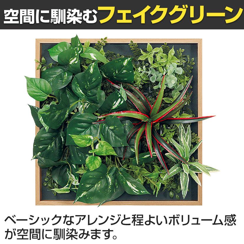 ベルク フェイクグリーン ウォールグリーン マグネットグリーン 木枠フレームタイプ 35角 人工 造花 GR1256 幅400×奥行150×高さ400mm |  | 06