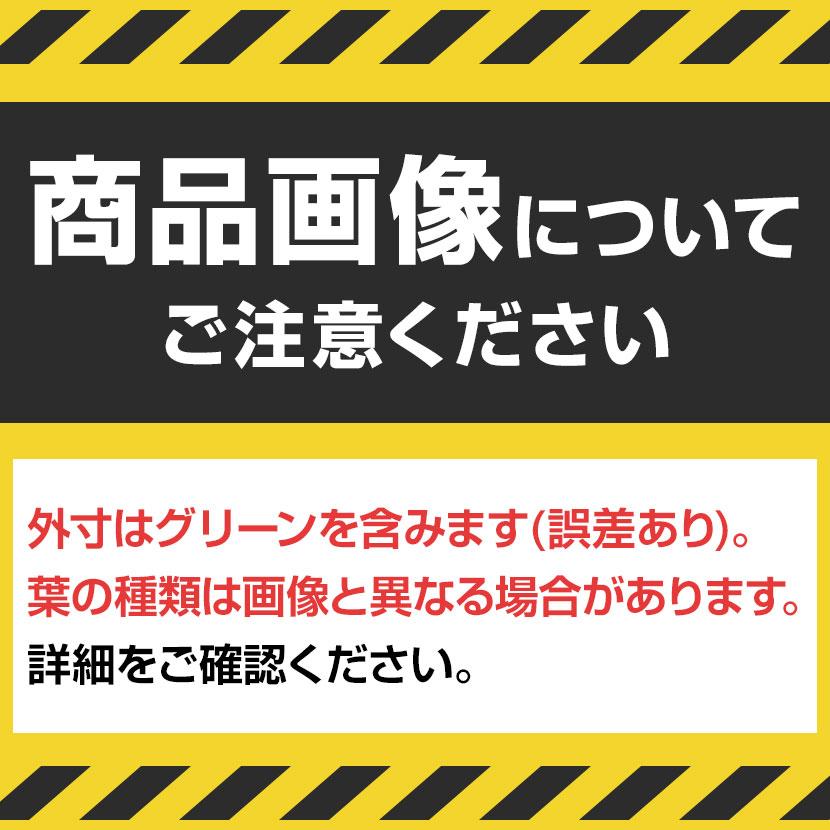 ベルク フェイクグリーン グリーンパーテーション パネルパーテーション ルーバータイプ 観葉植物 人口 幅724×奥行300×高さ1300mm |  | 01