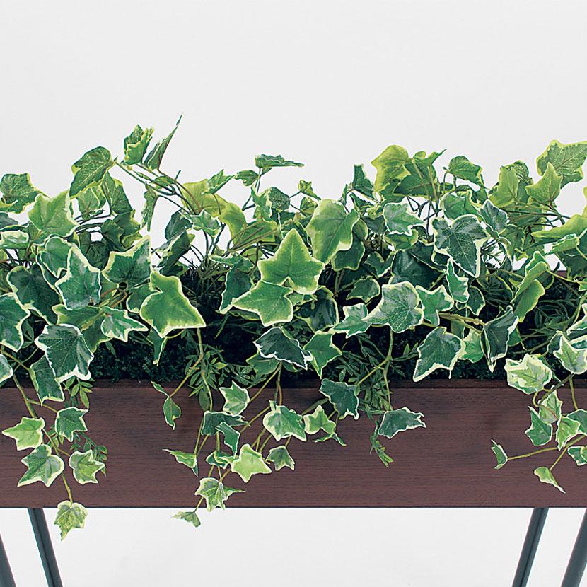 ベルク フェイクグリーン グリーンスタンド BOXプランター デザインパーテーション 間仕切り スリムタイプ 観葉植物 人工 GR2007 幅750×奥行300×高さ900mm |  | 02