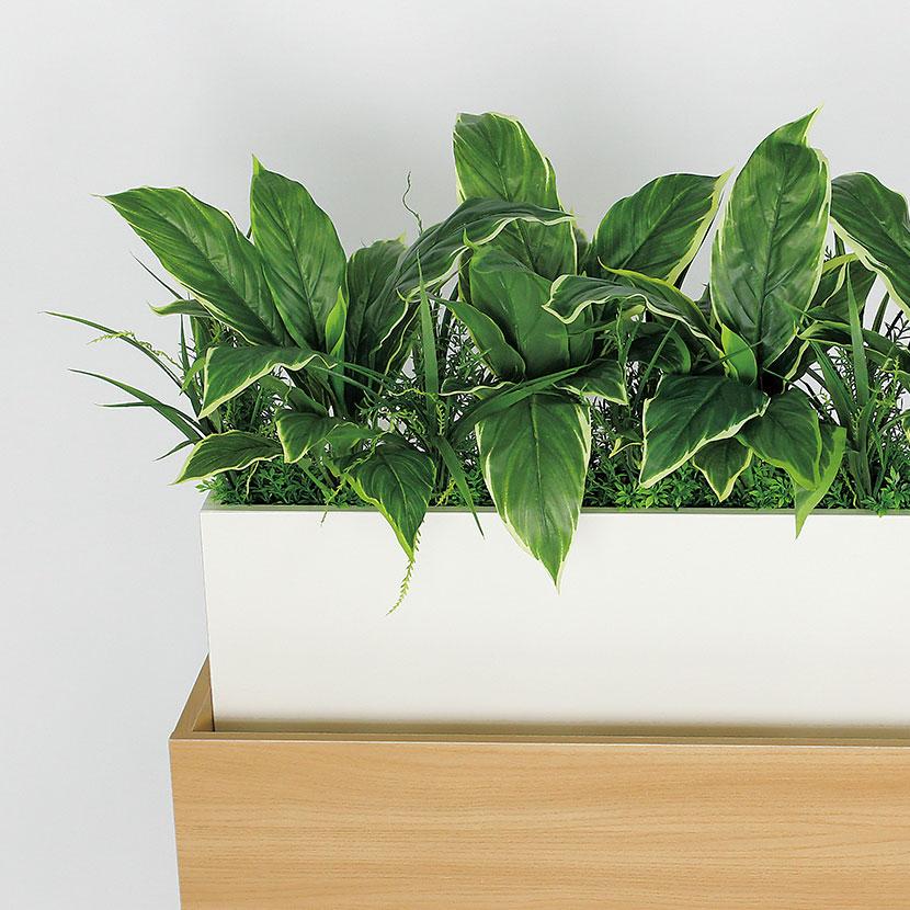 ベルク フェイクグリーン 観葉植物 人工 グリーンパーテーション BOX型 国産 GR2226 幅900×奥行300×高さ1100mm |  | 05