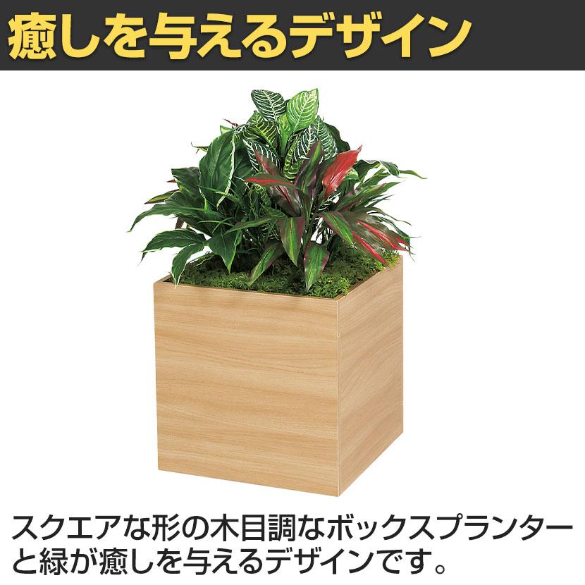 ベルク フェイクグリーン グリーンスタンド スタッキングプランター BOXプランター ナチュラル 人工 造花 GR2549 幅500×奥行500×高さ700mm | ベルク | 04