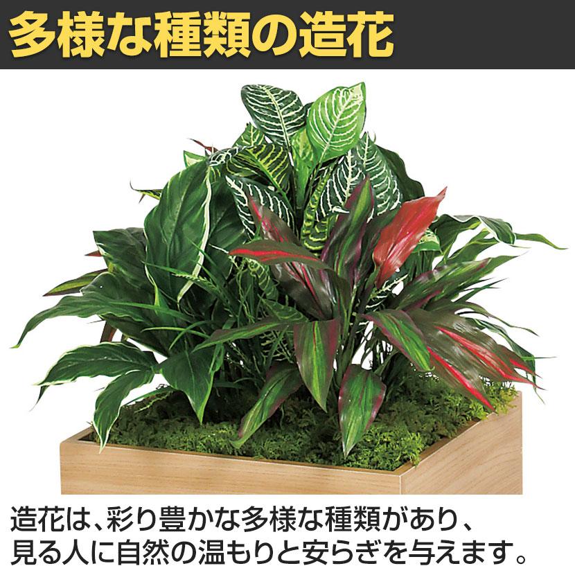 ベルク フェイクグリーン グリーンスタンド スタッキングプランター BOXプランター ナチュラル 人工 造花 GR2549 幅500×奥行500×高さ700mm | ベルク | 05