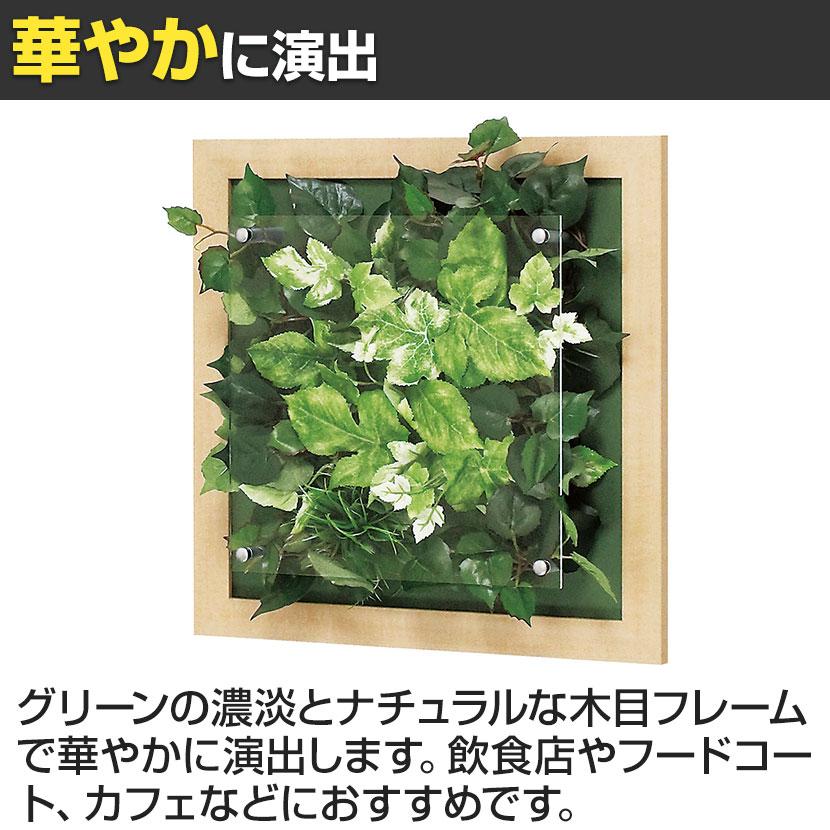 ベルク ウォールグリーン グリーンパネル フェイクグリーン 壁掛け 木目フレーム 人工 造花 GR3344 幅350×奥行67×高さ350mm | ベルク | 01