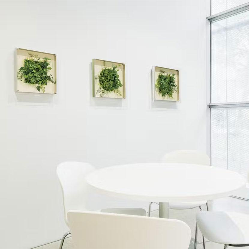 ベルク ウォールグリーン アートグリーン フェイクグリーン 壁掛け 立体グリーン 人工 造花 GR3437 幅400×奥行67×高さ400mm | ベルク | 01
