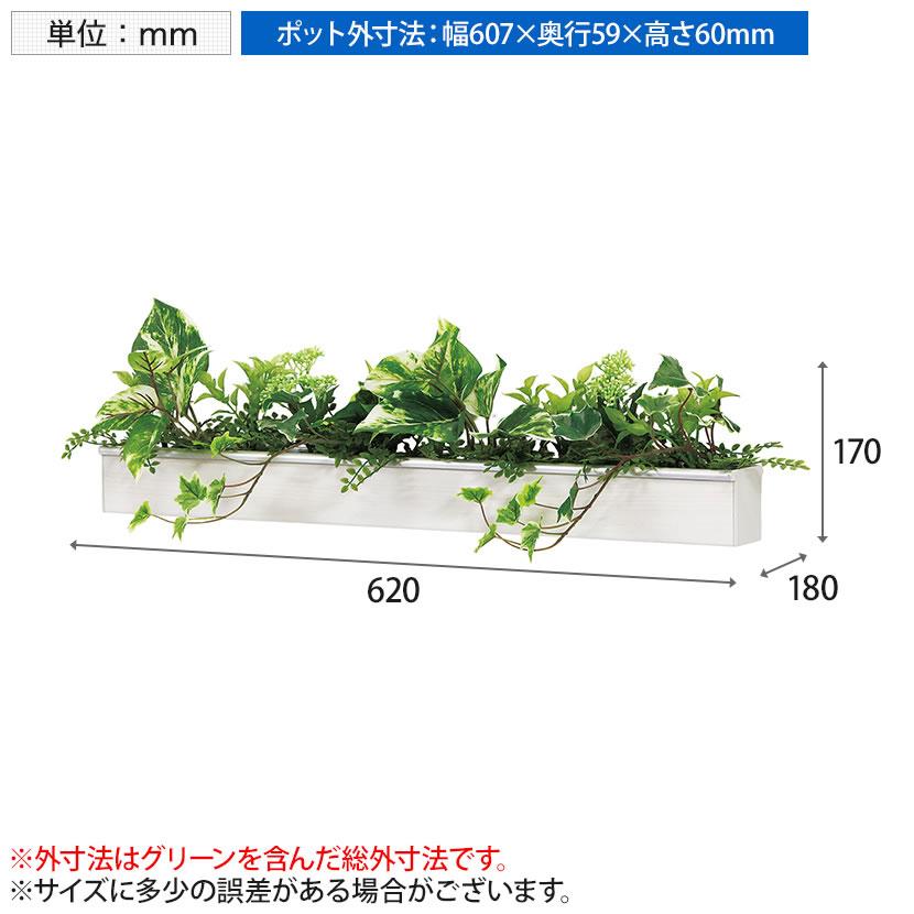インテリアグリーン 卓上デザインポット ライン 幅620mm ホワイト | ベルク | 08
