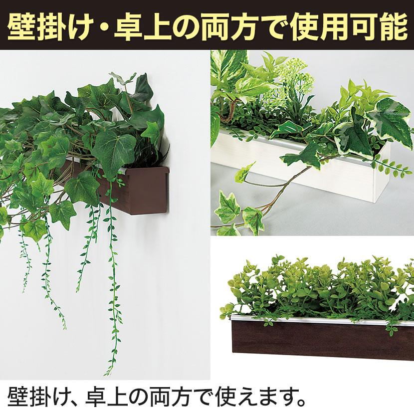 インテリアグリーン 卓上デザインポット ライン 幅610mm ダーク | ベルク | 06