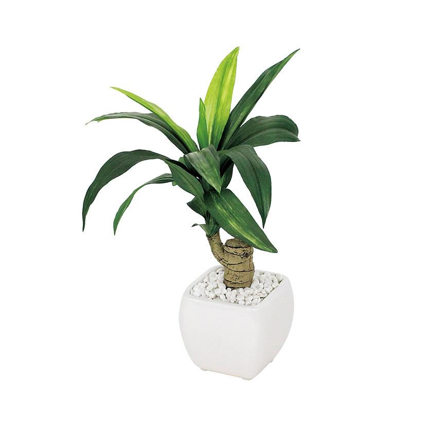 ベルク フェイクグリーン インテリアグリーン 観葉植物 人工 卓上ミニポット Gr4110 オフィス家具通販のオフィスコム 通販 Paypayモール