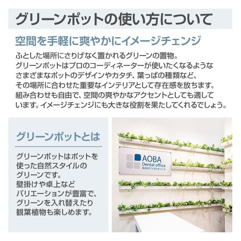 ベルク フェイクグリーン インテリアグリーン 観葉植物 人工 卓上ポット GR4257 | ベルク | 05