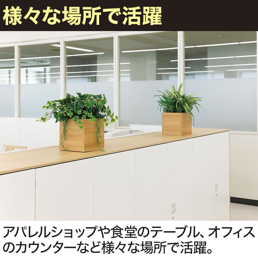 ベルク フェイクグリーン インテリアグリーン 観葉植物 人工 卓上ポット GR4261 | ベルク | 07