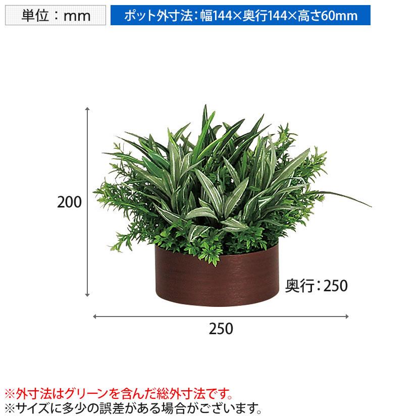 ベルク フェイクグリーン インテリアグリーン 観葉植物 人工 卓上ポット GR4277 | ベルク | 06