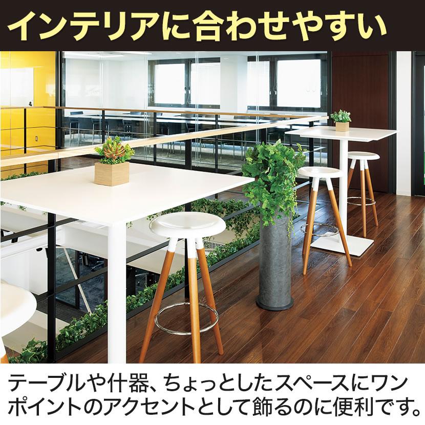 ベルク フェイクグリーン インテリアグリーン 観葉植物 人工 卓上ミニポット GR4381 | ベルク | 04