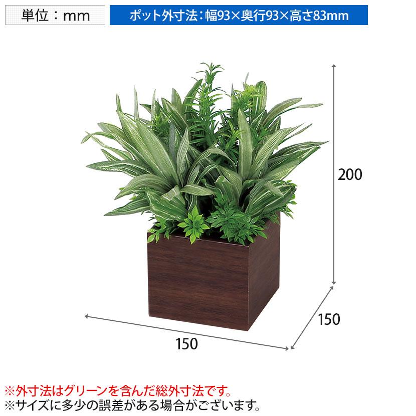 ベルク フェイクグリーン インテリアグリーン 観葉植物 人工 卓上ミニポット GR4384 | ベルク | 06