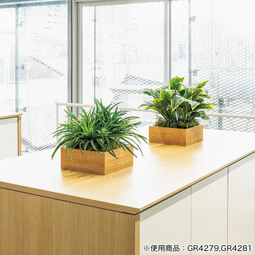 ベルク フェイクグリーン インテリアグリーン 観葉植物 人工 卓上ポット GR4392 |  | 03