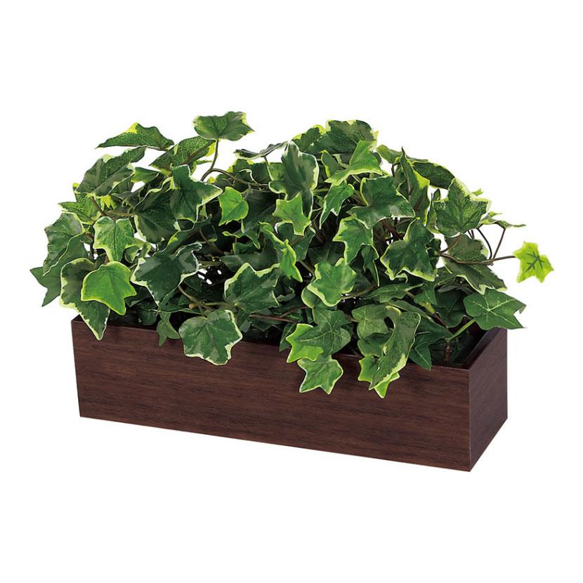 ベルク フェイクグリーン インテリアグリーン 観葉植物 人工 卓上ポット GR4394 | ベルク