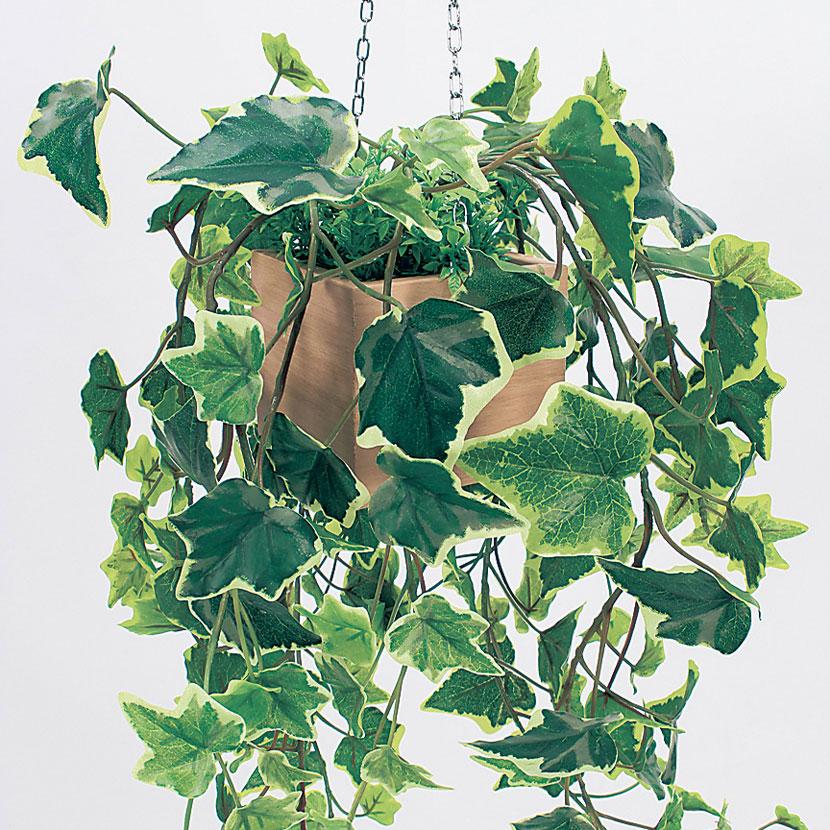 ベルク フェイクグリーン インテリアグリーン 幅250mm ハンギングポット パーテーションポット 観葉植物 人工 造花 GR4432 |  | 02