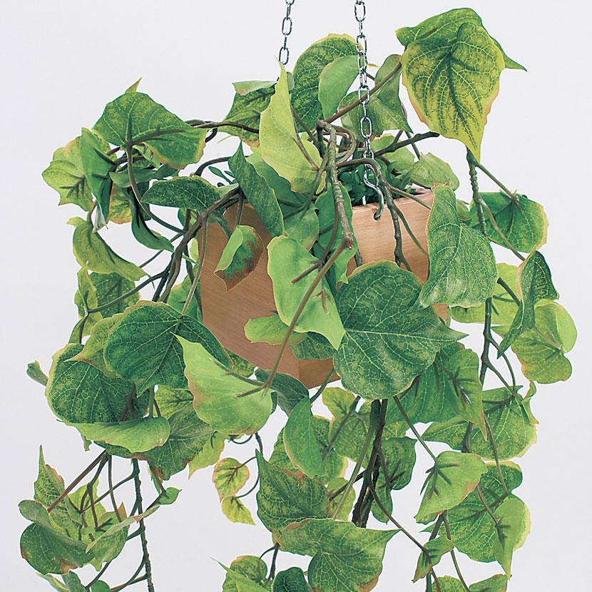 ベルク フェイクグリーン インテリアグリーン 幅250mm ハンギングポット パーテーションポット 観葉植物 人工 造花 GR4433 |  | 02