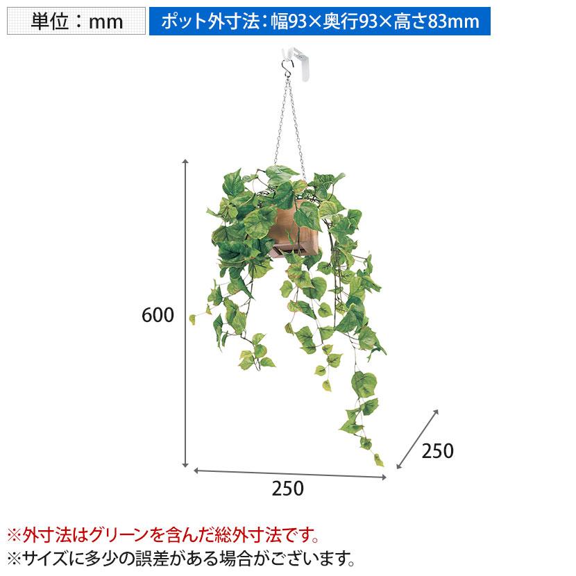 ベルク フェイクグリーン インテリアグリーン 幅250mm ハンギングポット パーテーションポット 観葉植物 人工 造花 GR4433 |  | 03