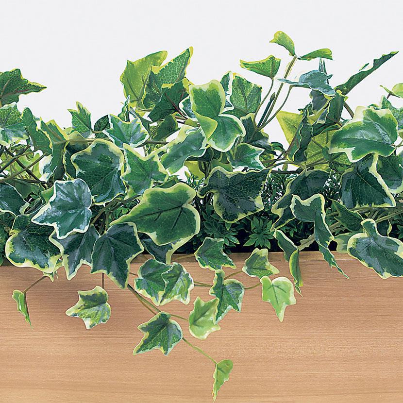 ベルク フェイクグリーン インテリアグリーン 卓上ポット 卓上間仕切りポット 観葉植物 人工 造花 GR4461 |  | 02